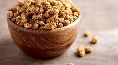 فواید توت خشک,فواید توت خشک برای بدن,فواید توت خشک برای لاغری