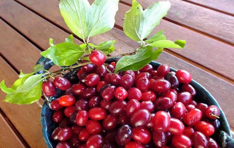 برای جلوگیری از ریزش مو چه بخوریم,راه های جلوگیری از ریزش مو,راه های جلوگیری از ریزش مو