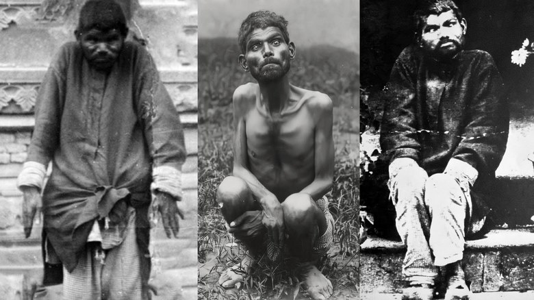 10 انسان پرورش یافته توسط حیوانات,10 انسان پرورش یافته توسط حیوانات,10 انسان پرورش یافته توسط حیوانات
