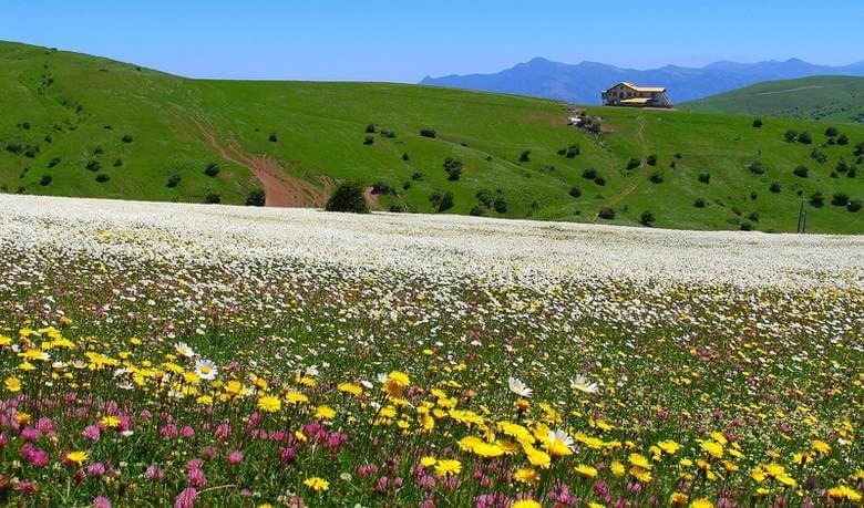 جاذبه گردشگری اردبیل,فهرست جاذبه های گردشگری استان اردبیل,لیست جاذبه های گردشگری اردبیل
