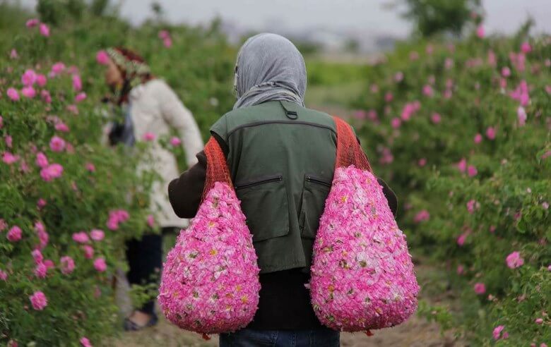 بهترین زمان برای سفر به کاشان,بهترین زمان برای مسافرت به کاشان,بهترین زمان سفر به قمصر کاشان