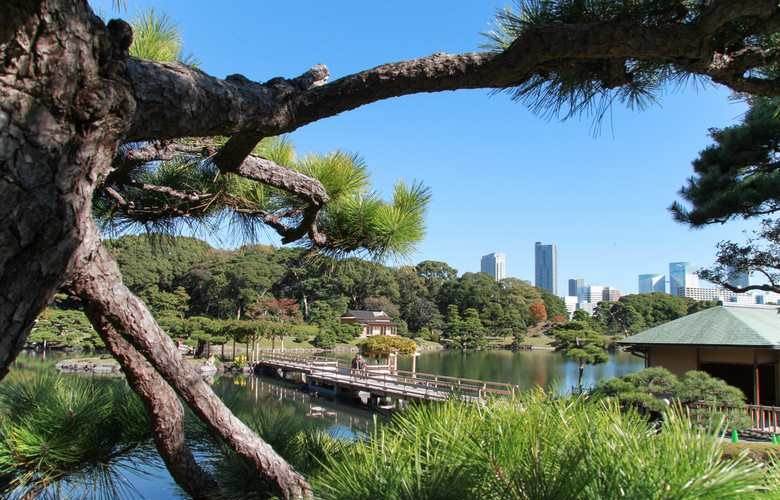 بهترین زمان سفر به توکیو بهترین زمان سفر به توکیو,بهترین زمان سفر به ژاپن,بهترین فصل سفر به توکیو