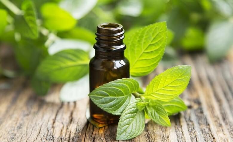 از بین بردن مورچه ها,از بین بردن مورچه ها در خانه,از بین بردن مورچه های خیلی ریز