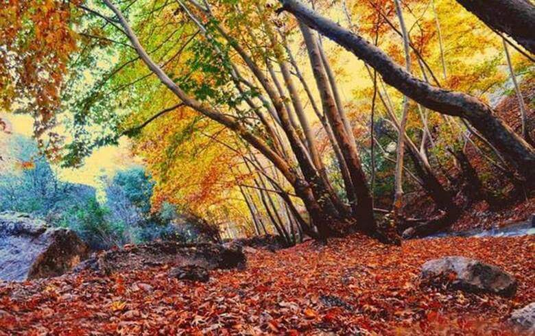 بهترین زمان برای سفر به یاسوج,بهترین زمان سفر به یاسوج,خاطرات سفر به یاسوج