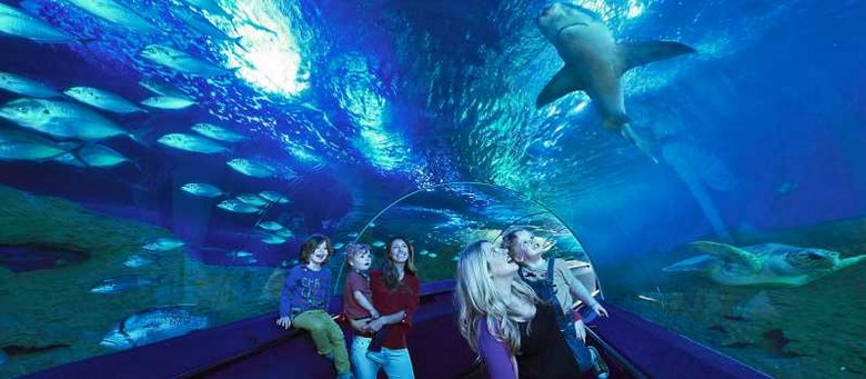 آکواریوم دنیای زیر آب,آکواریوم های زیبای جهان,آکواریوم های زیبای دنیا