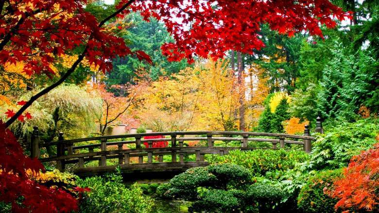 زمان سفر به چین,سفر به چین,بهترین زمان برای سفر به چین