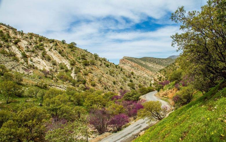 بهترین زمان سفر به ایلام,بهترین زمان برای سفر به ایلام,بهترین زمان سفر به استان ایلام
