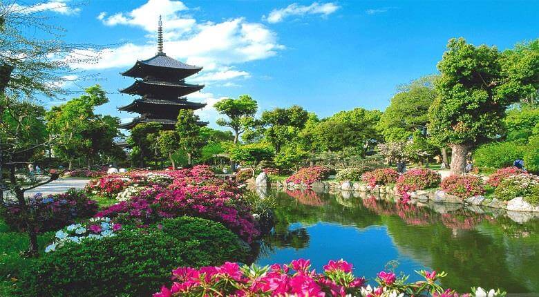 بهترین زمان برای سفر به ژاپن,بهترین زمان سفر به ژاپن,بهترین فصل برای سفر به ژاپن