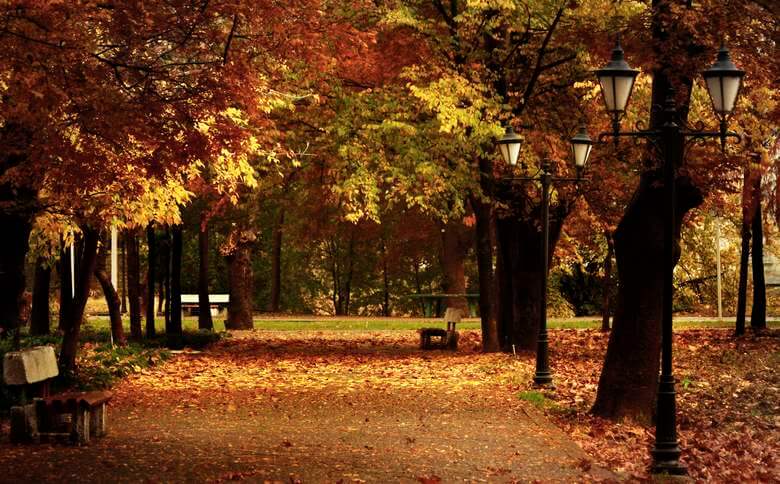 بهترین زمان برای سفر به رشت,بهترین زمان برای مسافرت به رشت,بهترین زمان سفر به رشت