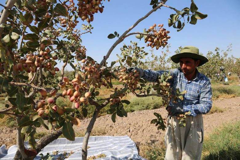 بهترین زمان برای سفر به سمنان,بهترین سوغاتی سمنان,بهترین فصل سفر به سمنان