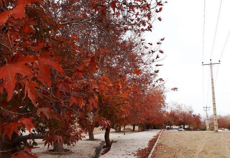 بهترین زمان برای سفر به سمنان,بهترین سوغاتی سمنان,بهترین فصل سفر به سمنان