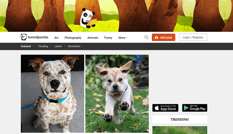 10 تا از بهترین سایت های عجیب و سرگرم کننده جهان سایت های تفریحی و سرگرم کننده,سایت های عجیب دنیا,سایت های عجیب و جالب