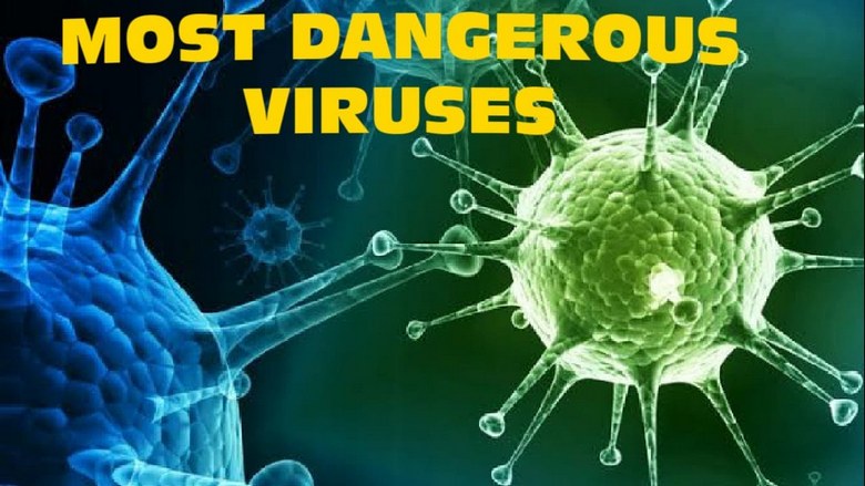 خطرناک ترین ویروس های جهان,ویروس خطرناک,۱۰ خطرناکترین ویروس