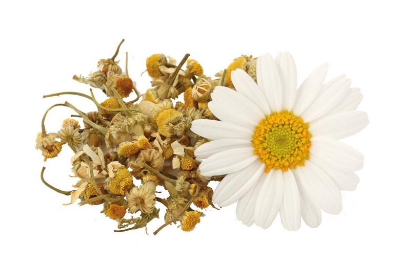 خواص بابونه چیست,فواید بابونه برای بدن,خواص بابونه چیست