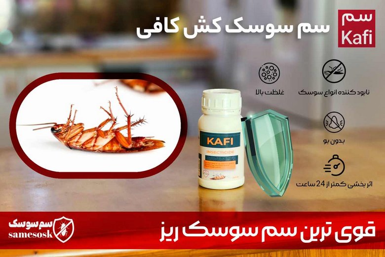 از بین بردن سوسک کابینت با سمپاشی سوسک