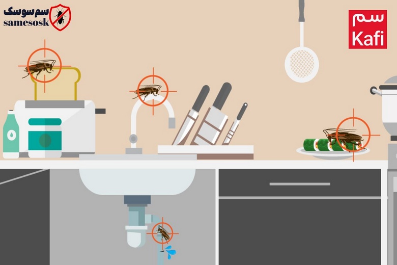 سوسک کابینت از کجا میاد
