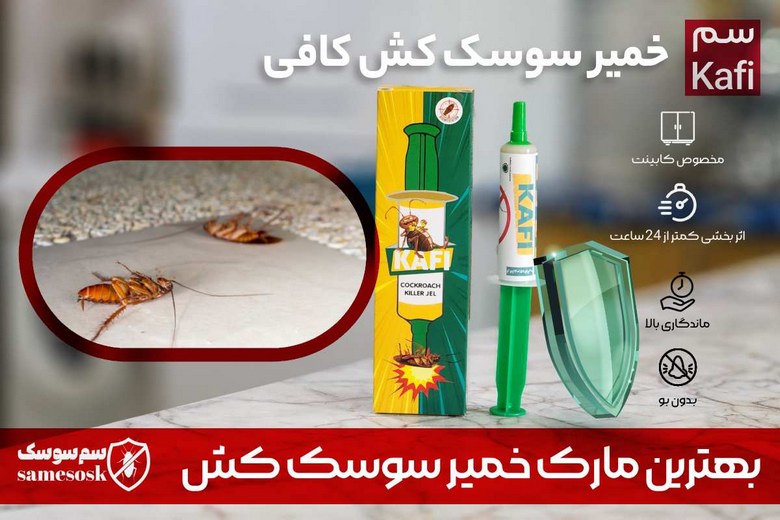 خمیر سوسک کش کافی – Kafi : بهترین مارک خمیر سوسک کش
