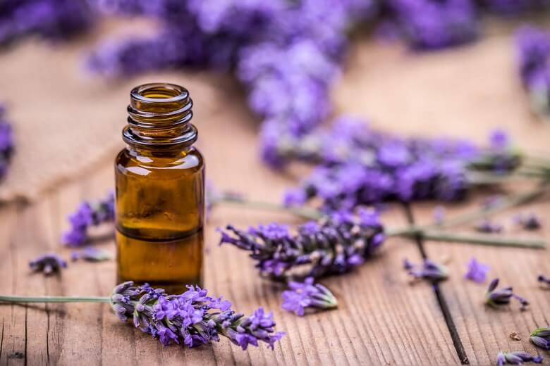 برای درمان بی خوابی,درمان بی خوابی با گیاهان طبیعی,درمان بی خوابی طبیعی