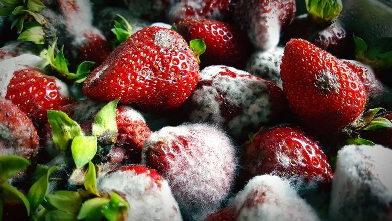 ترفند آشپزخانه ای,ترفند آشپزخانه جالب,ترفند های جالب در زندگی