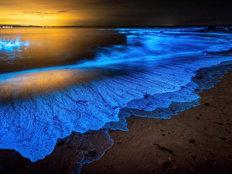 جزایر ناشناخته ایران,جزیره های ناشناخته ایران,جزایر ناشناخته ایران