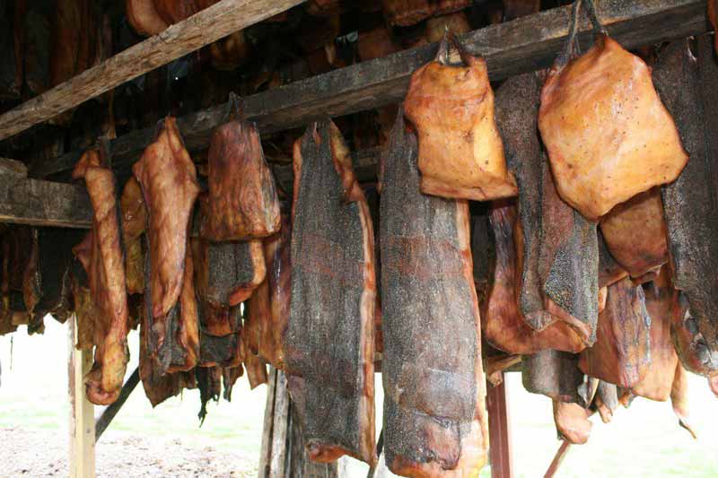 ترکیبات غذایی خطرناک,مواد غذایی خطرناک برای جنین,مواد غذایی خطرناک در بارداری